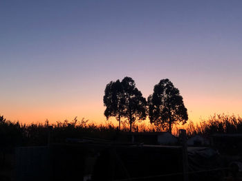 Silhouette trees on field against clear sky during sunset