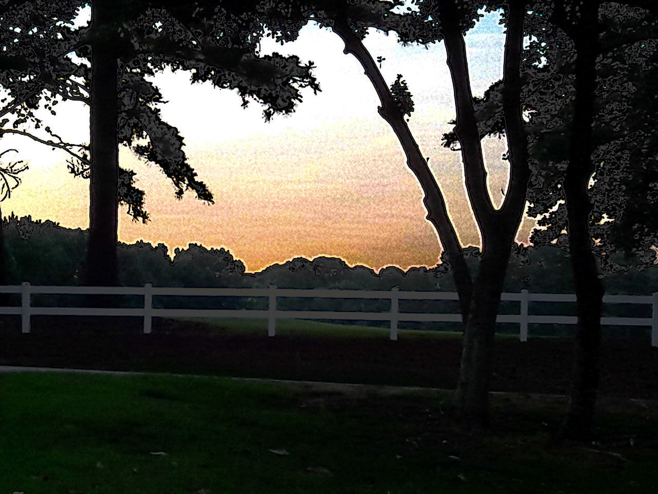 SILHOUETTE TREES ON FIELD DURING SUNSET