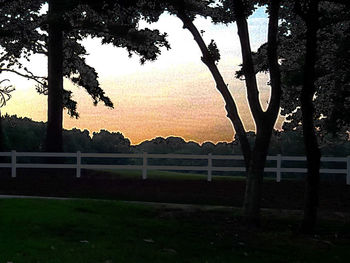 Silhouette trees on field against sky at sunset