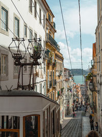 Rear view of people walking on street in city