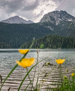 Scenic view of lake and mountains against sky