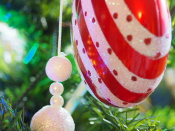 Close-up of plant against blurred background