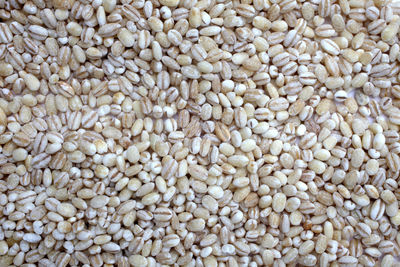 Full frame shot of wheat grain