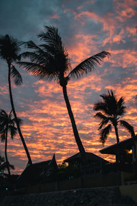 Silhouette palm tree by building against sky during sunset