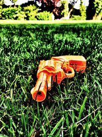 Close-up of orange on field