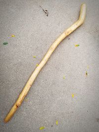 High angle view of yellow road marking on street