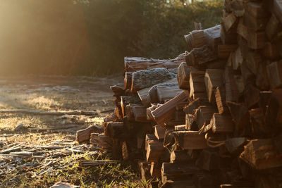 Heap of heap of logs