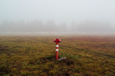 Scenic view of field against sky during foggy weather