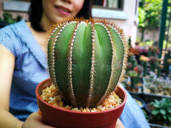 Midsection of woman holding cactus in flower pot