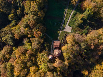 High angle view of trees by river