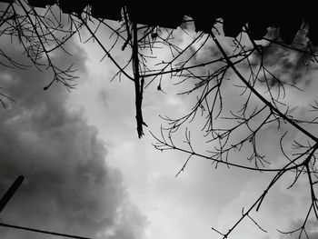 Low angle view of silhouette bare tree against sky