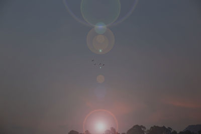 Low angle view of silhouette kite against sky during sunset