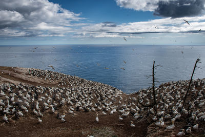 Scenic view of sea against sky
