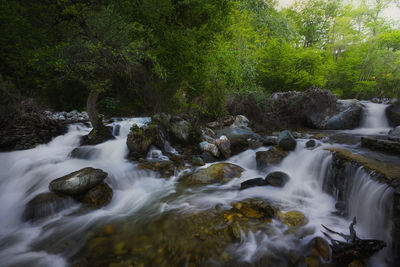 Scenic view of waterfall in forest