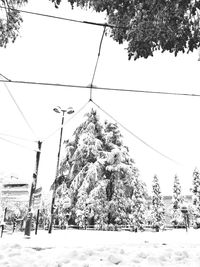 Low angle view of power lines against sky