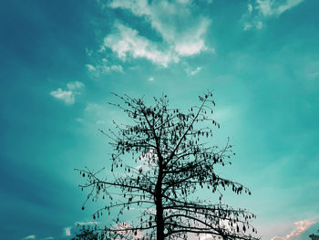 Low angle view of silhouette tree against sky