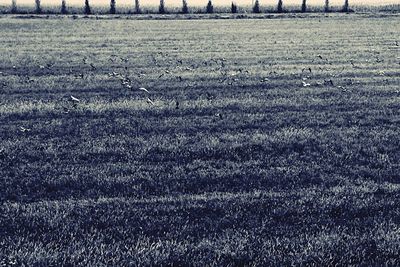 View of rural landscape