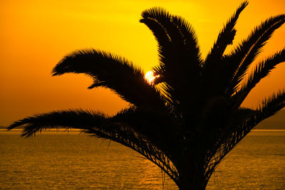 Silhouette palm tree by sea against sky during sunset