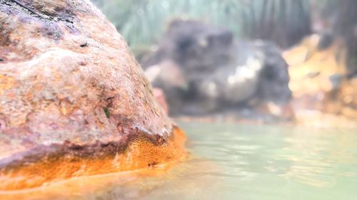 Close-up of rock in water