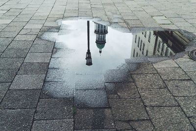 Reflection of trees in puddle