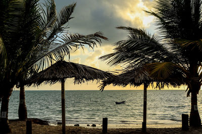 Silhouette palm trees on beach against sky