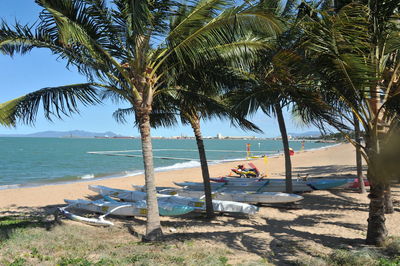 Palm trees on beach against sky