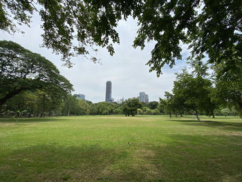 Trees growing in park against sky