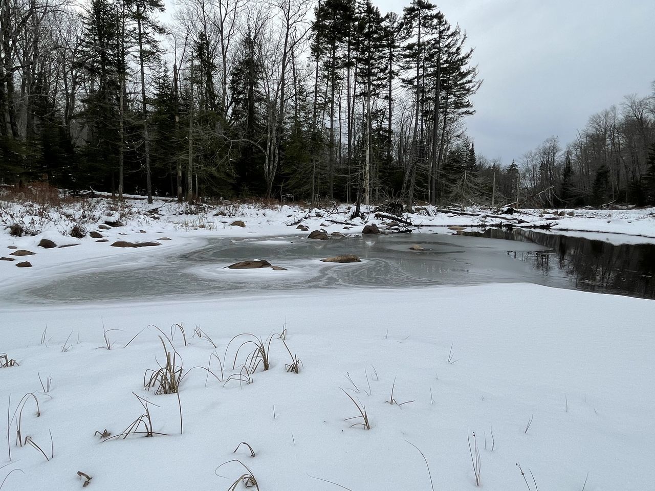 SCENIC VIEW OF FROZEN LAKE AGAINST TREES