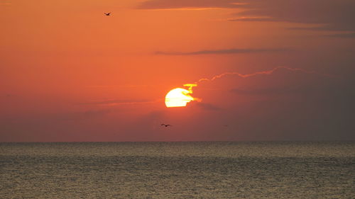 Scenic view of sea against orange sky