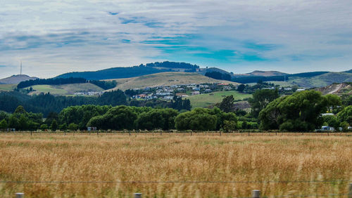 Scenic view of field against sky