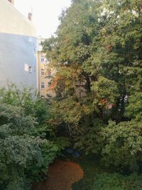 High angle view of trees and plants by building