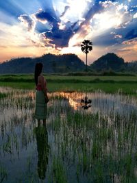 Rear view of woman standing at farm during sunset