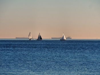 Sailboats sailing on sea against clear sky during sunset