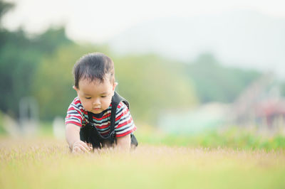 Cute boy in field