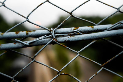 Close-up of chainlink fence