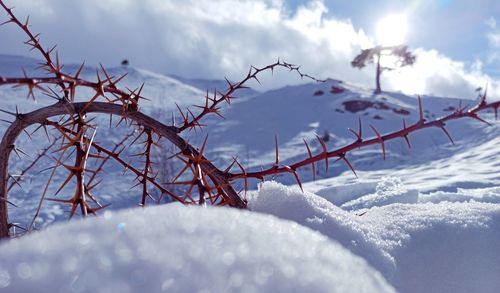 Close-up of snow covered land against sky