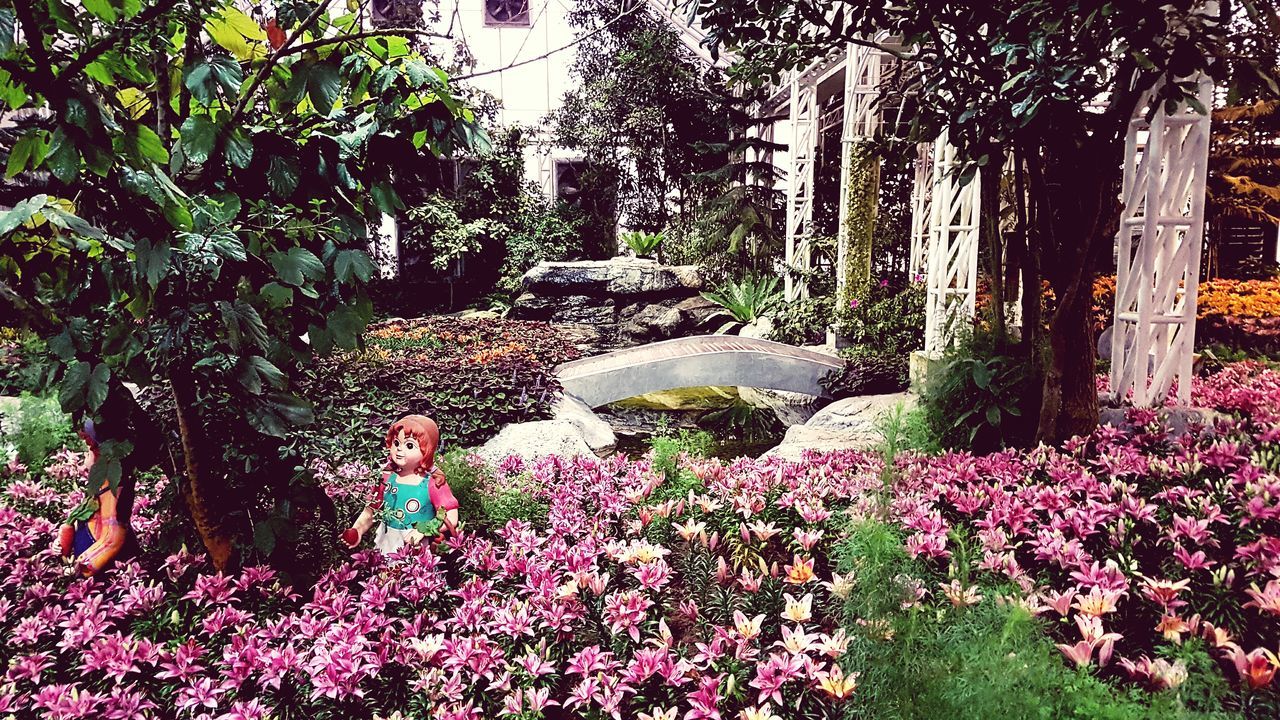 VIEW OF FLOWERS AGAINST PLANTS