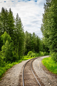 Empty railroad track amidst trees against sky