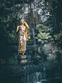 View of statue against trees in forest