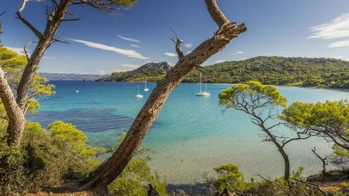 The bay of the alycastre and its beach notre dame on the island of porquerolles