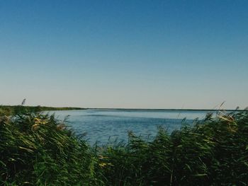 View of calm blue sea against clear sky