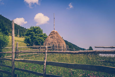 Plants surrounded by wooden fence on field against sky