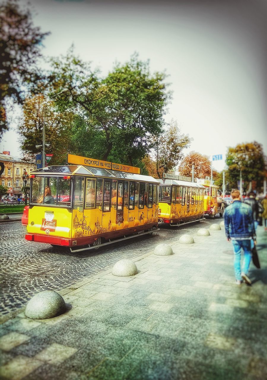 transportation, mode of transport, tree, real people, public transportation, day, men, outdoors, sky, full length, nature, people