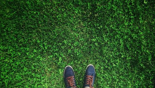 Low section of man standing on grass