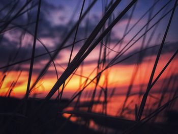 Close-up of silhouette grass against sky during sunset