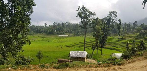 Scenic view of farm against sky