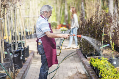 Elderly gardener watering plants in garden centre