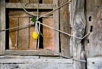 Close-up of closed wooden door