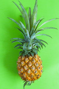 Close-up of fruit against white background