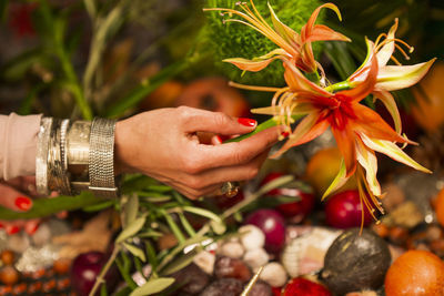 Close-up of hand holding plant